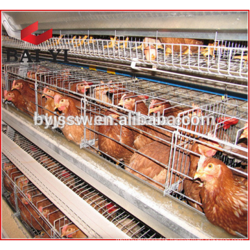 South Africa Distributor Agricultural Equipment Layer Cage